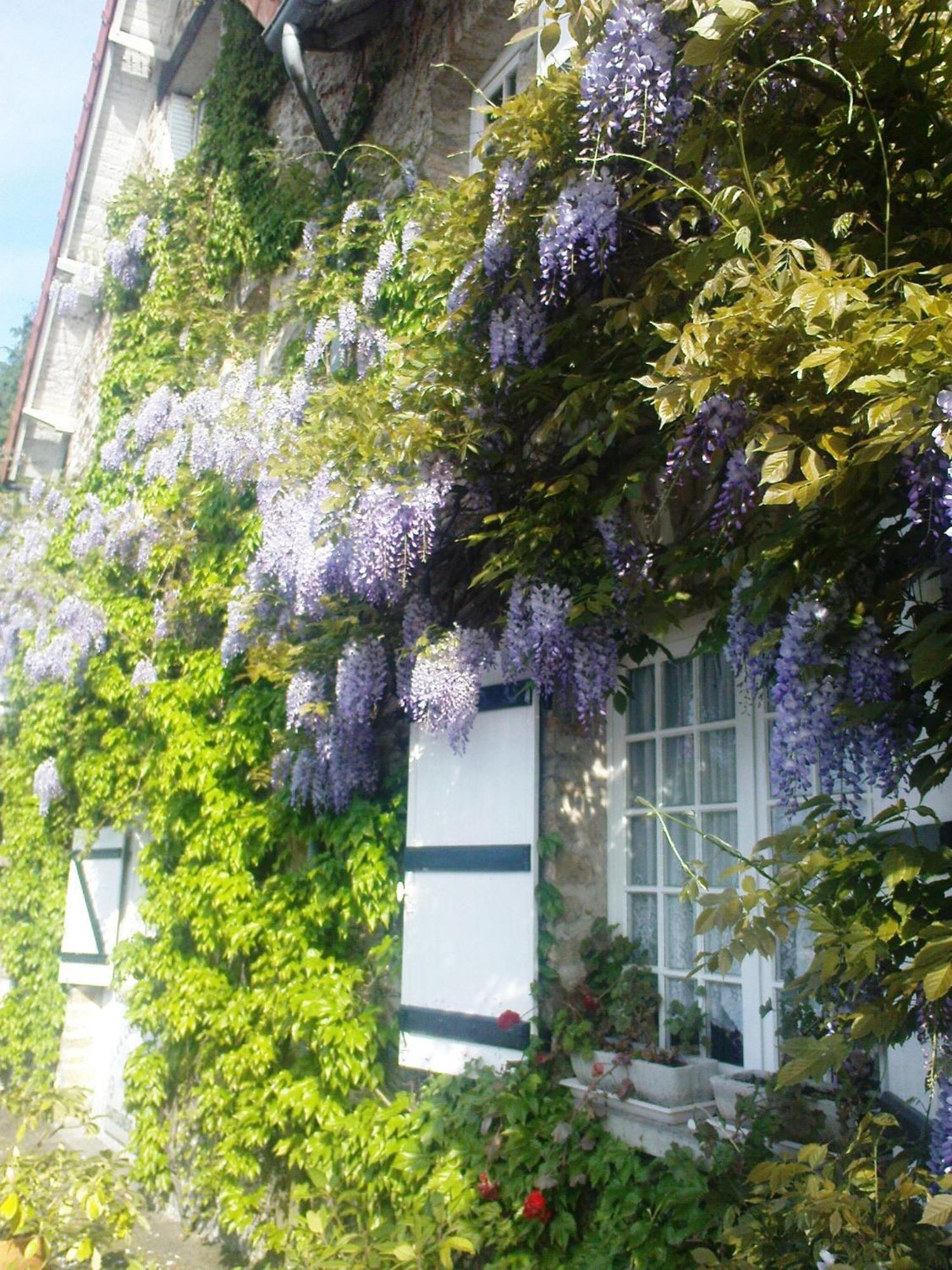 Bed and Breakfast La Croix du Reh à Châteauneuf-la-Forêt Extérieur photo